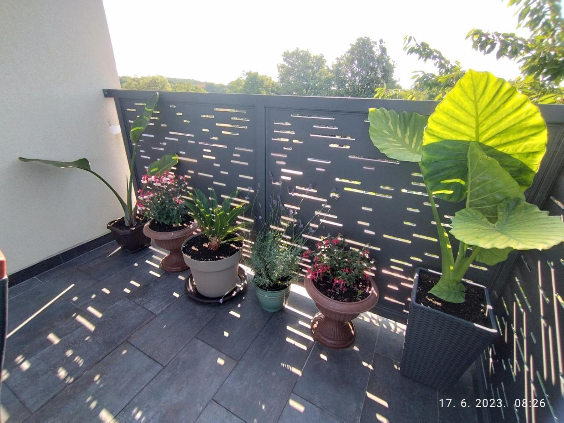 Apartment Zelena Oaza Sisan 75 M2 - 2 Bedrooms Dış mekan fotoğraf