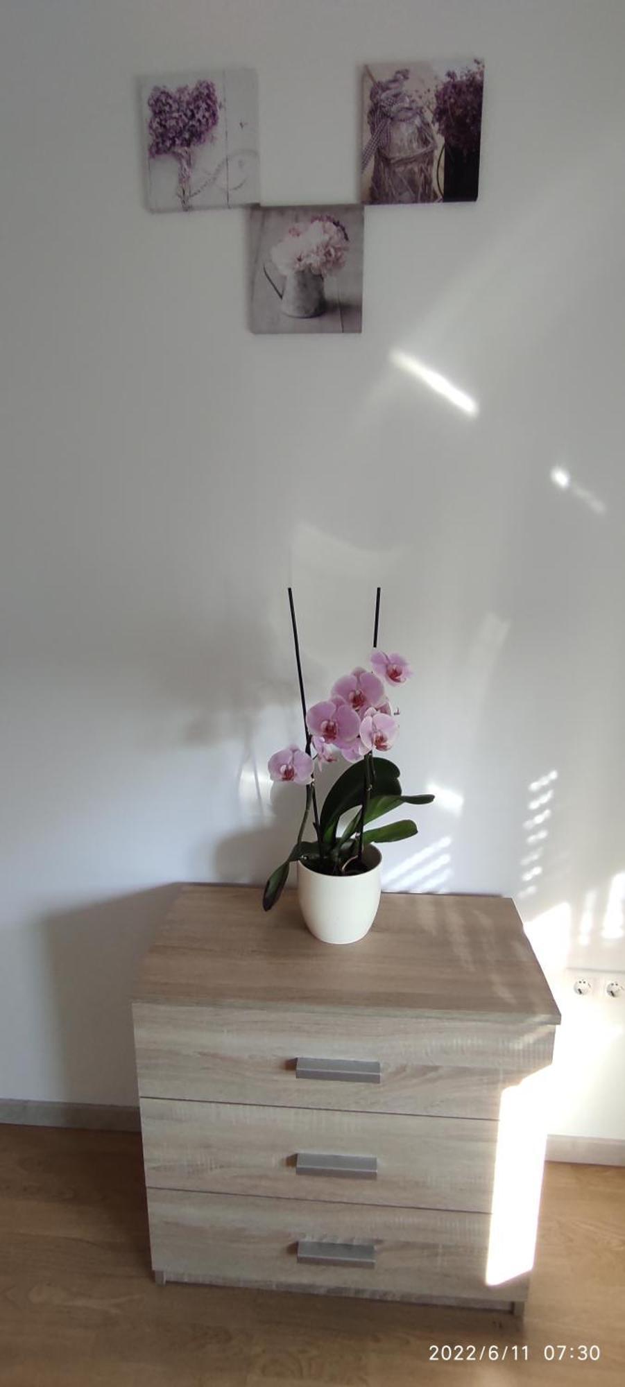 Apartment Zelena Oaza Sisan 75 M2 - 2 Bedrooms Dış mekan fotoğraf